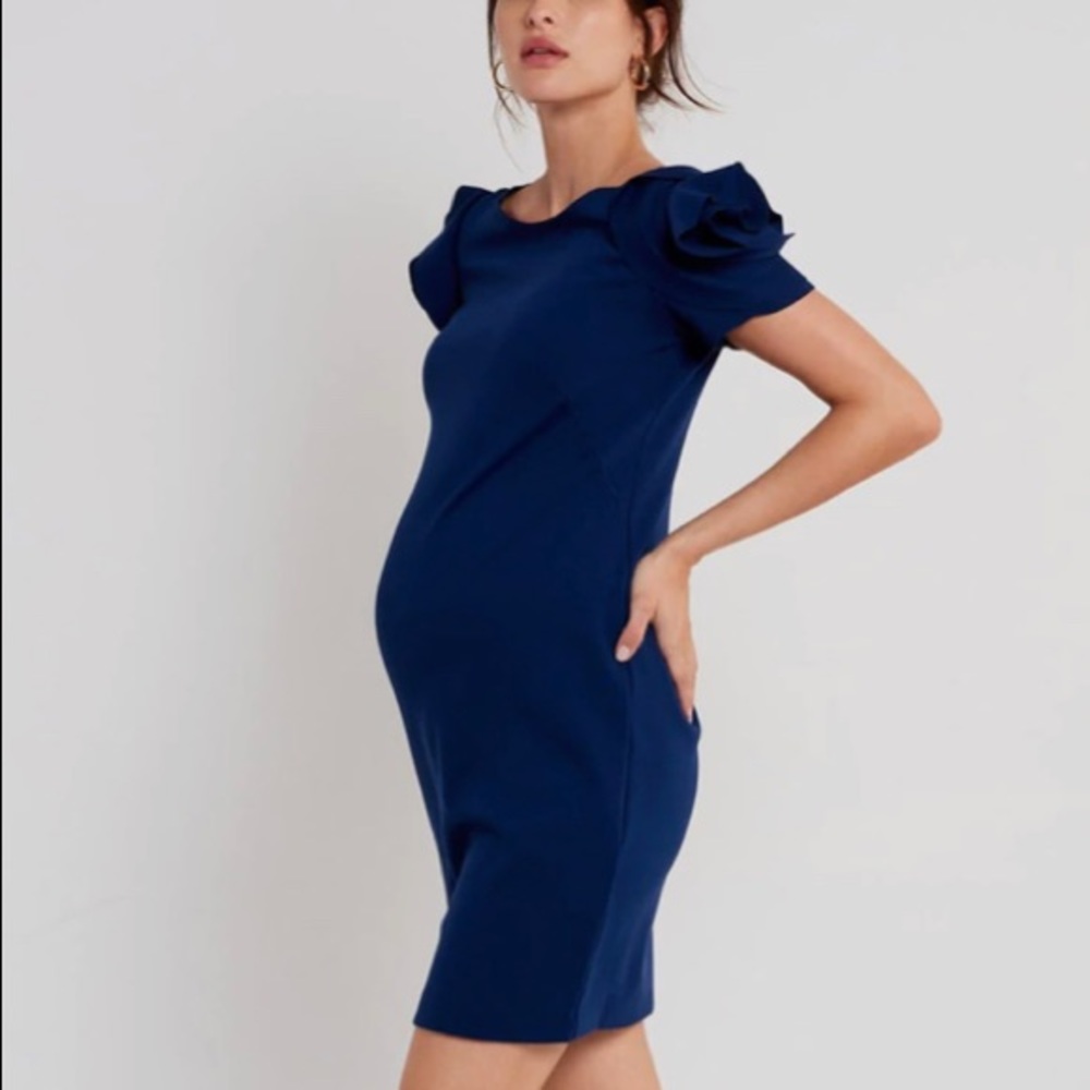 Pietro Brunelli Salisborgo maternity dress